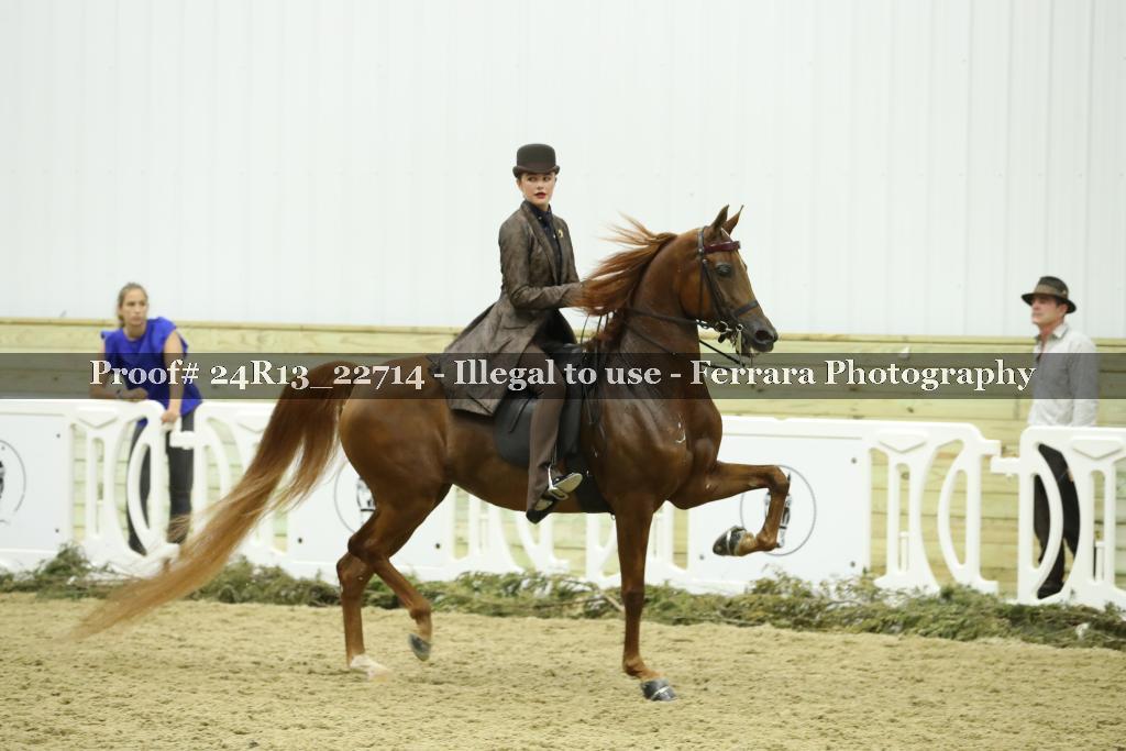 Proof 24R13_22714