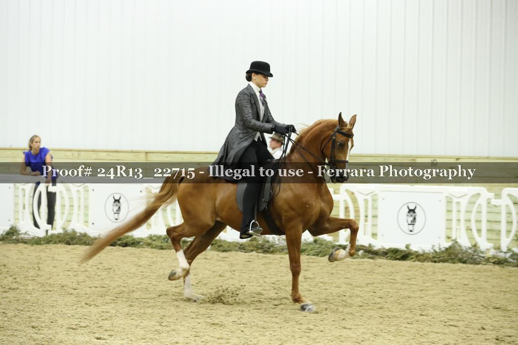 Proof 24R13_22715