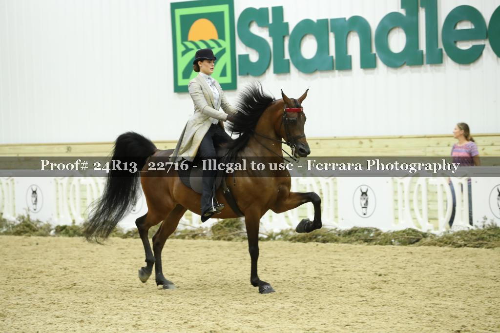 Proof 24R13_22716