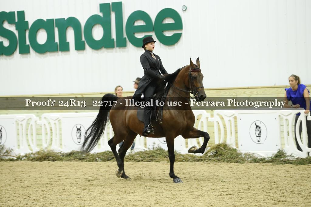 Proof 24R13_22717