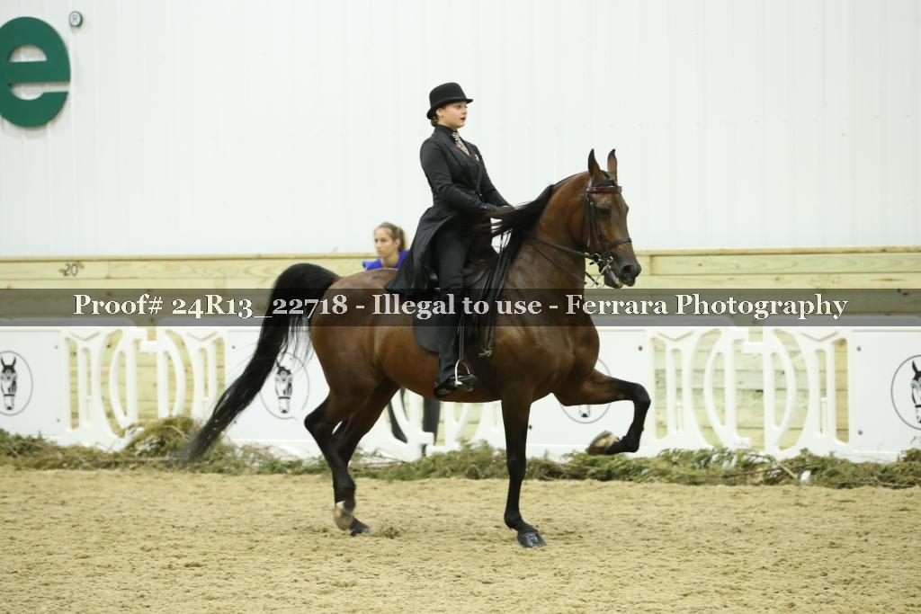 Proof 24R13_22718