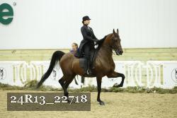 24R13_22718 proof
