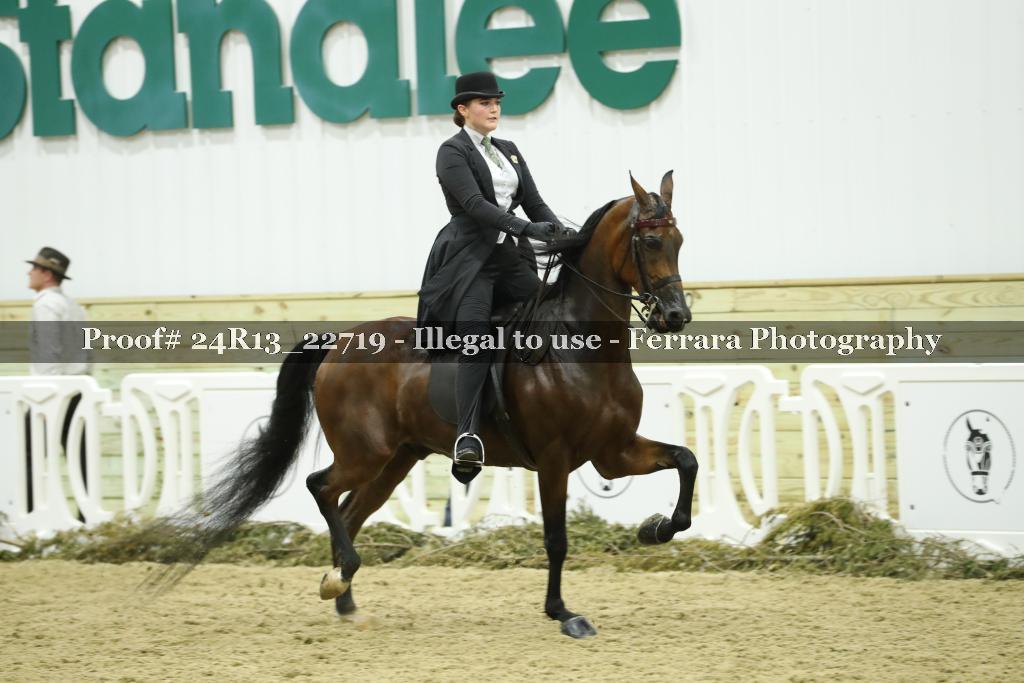 Proof 24R13_22719
