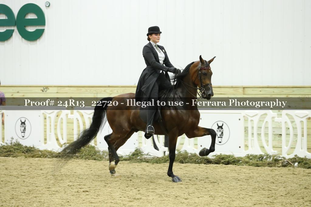 Proof 24R13_22720