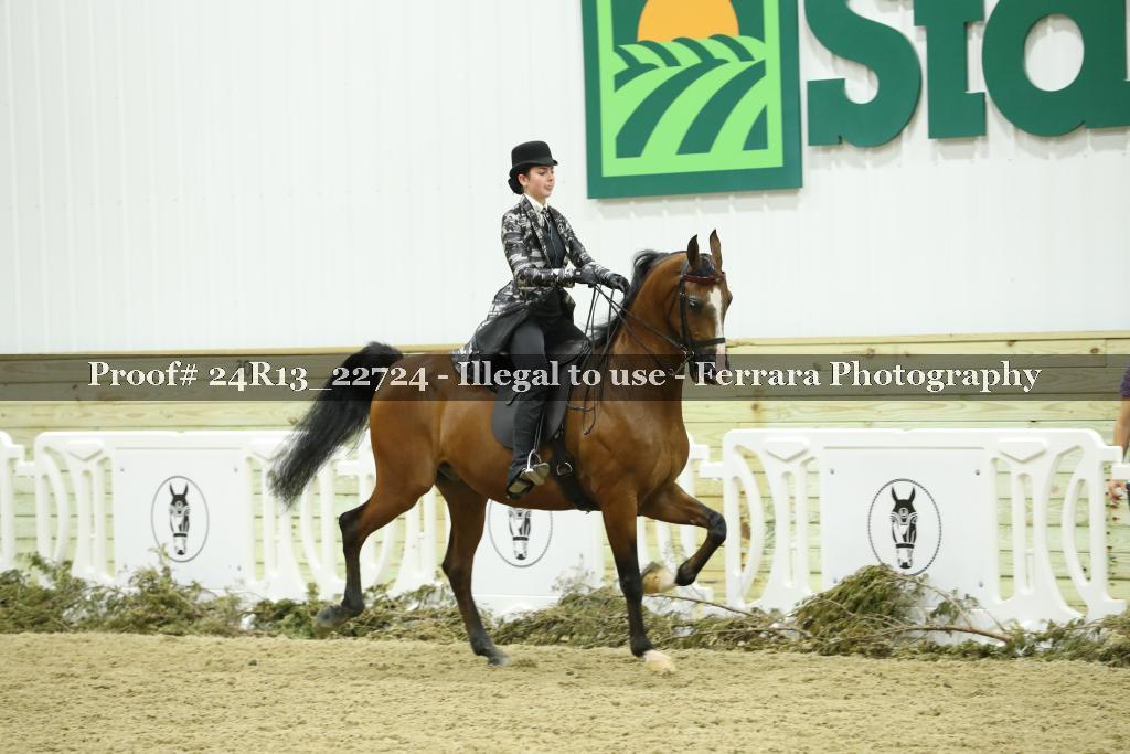 Proof 24R13_22724