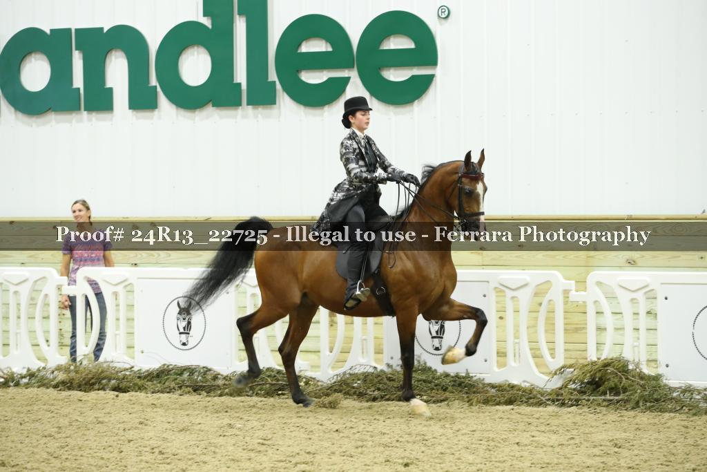 Proof 24R13_22725