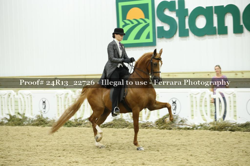 Proof 24R13_22726