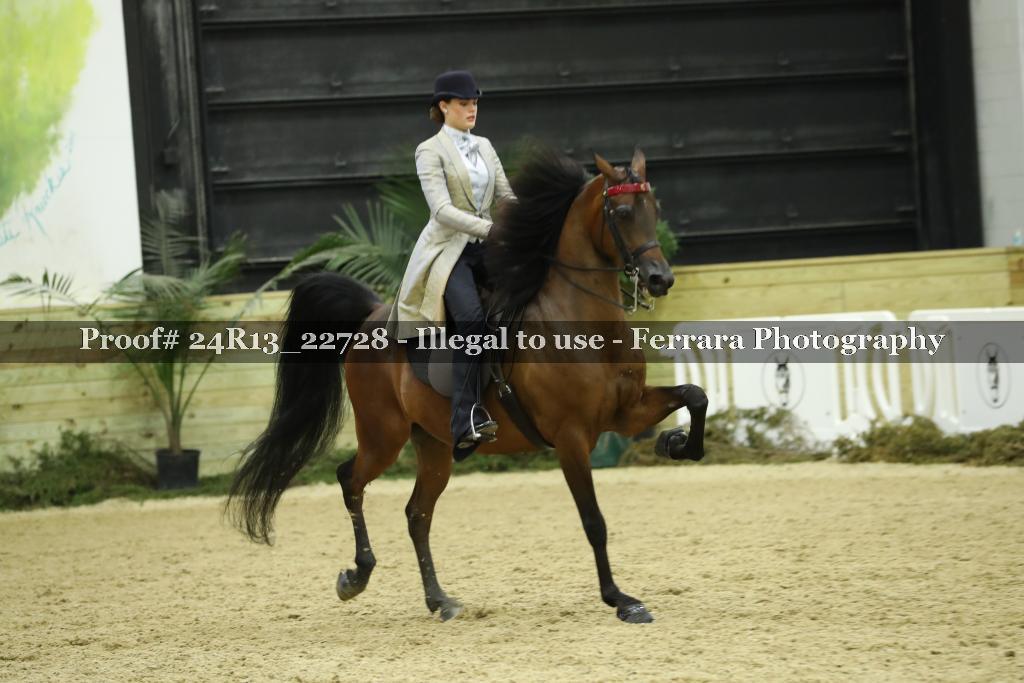 Proof 24R13_22728