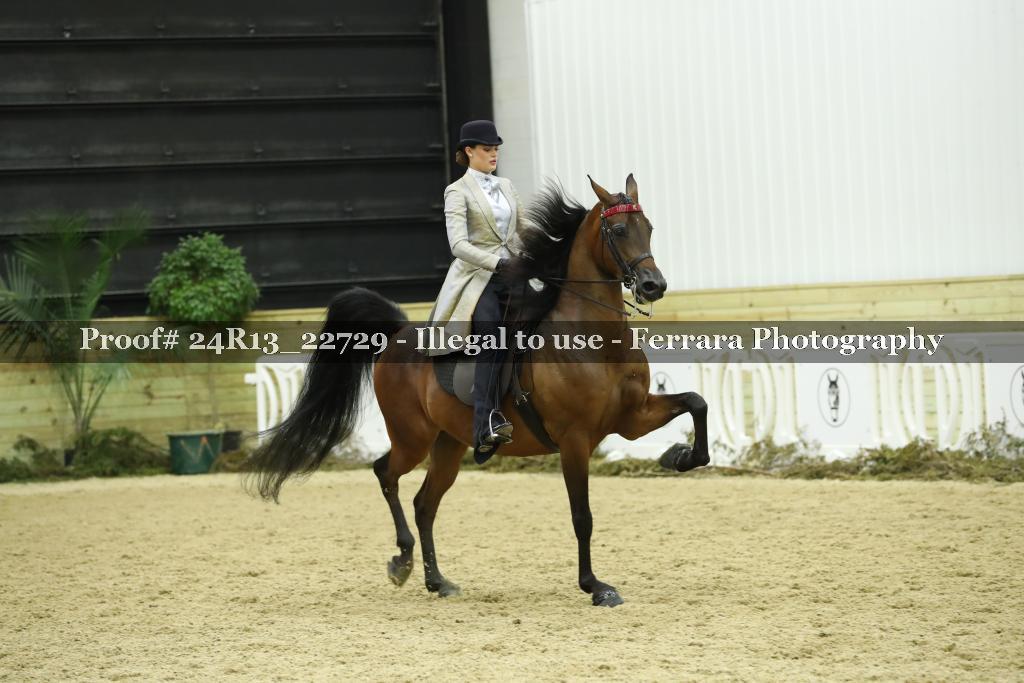 Proof 24R13_22729