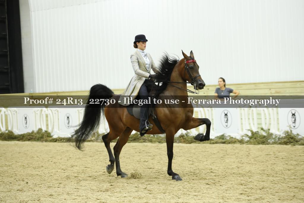 Proof 24R13_22730