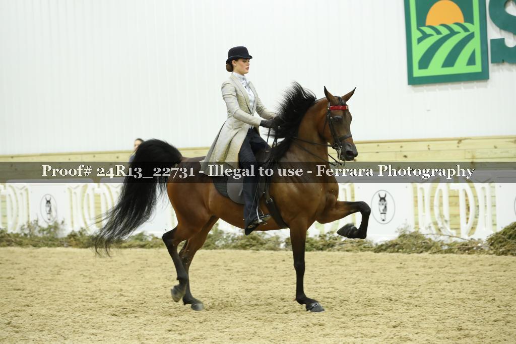 Proof 24R13_22731