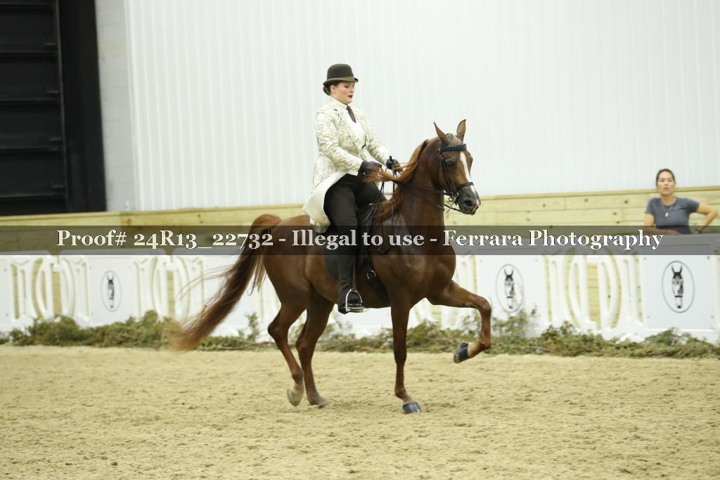 Proof 24R13_22732
