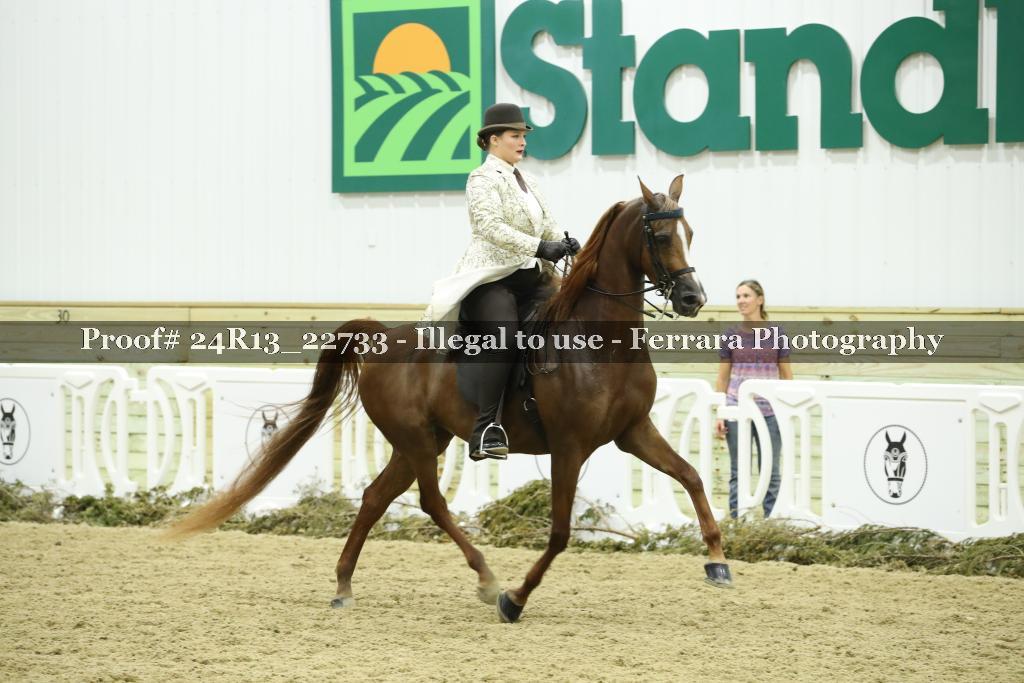 Proof 24R13_22733
