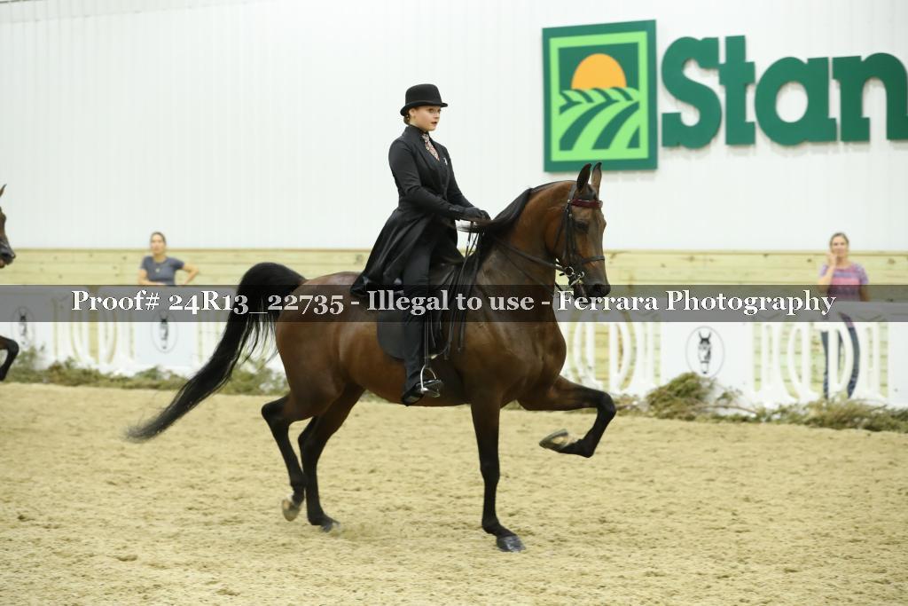 Proof 24R13_22735