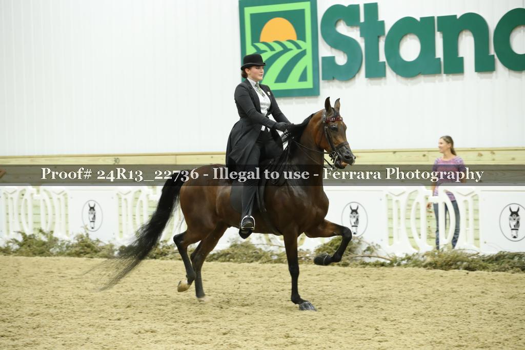Proof 24R13_22736