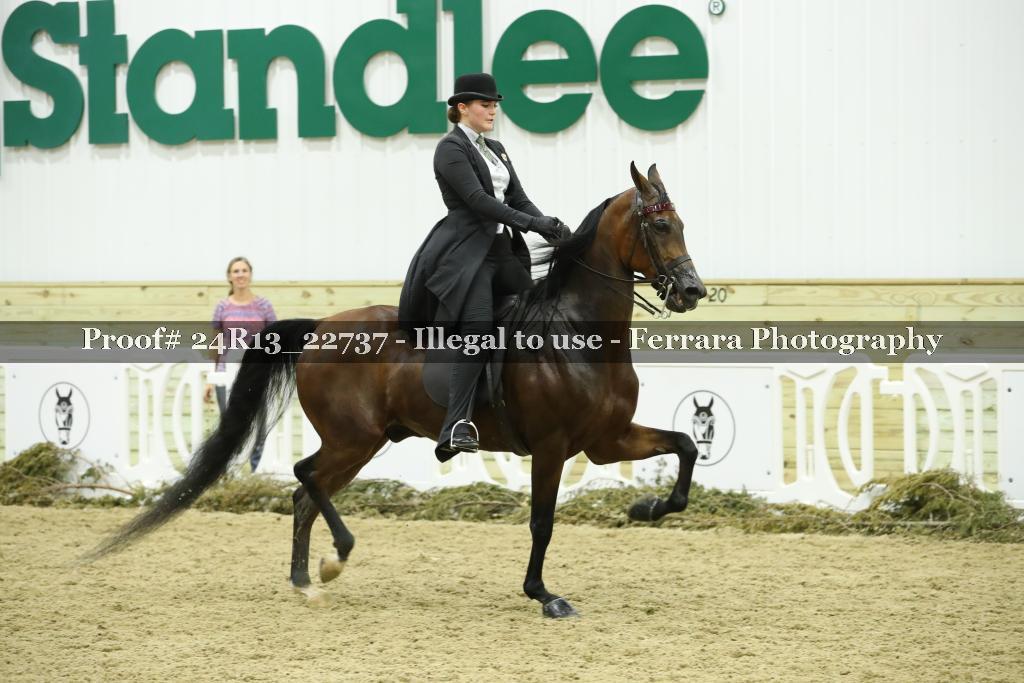 Proof 24R13_22737
