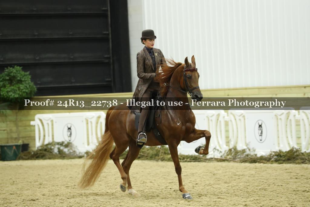 Proof 24R13_22738