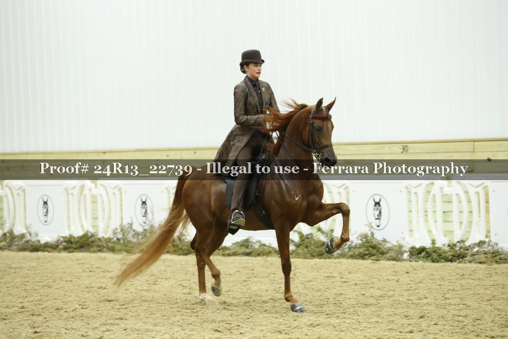 Proof 24R13_22739