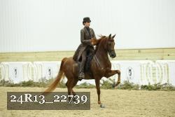 24R13_22739 proof