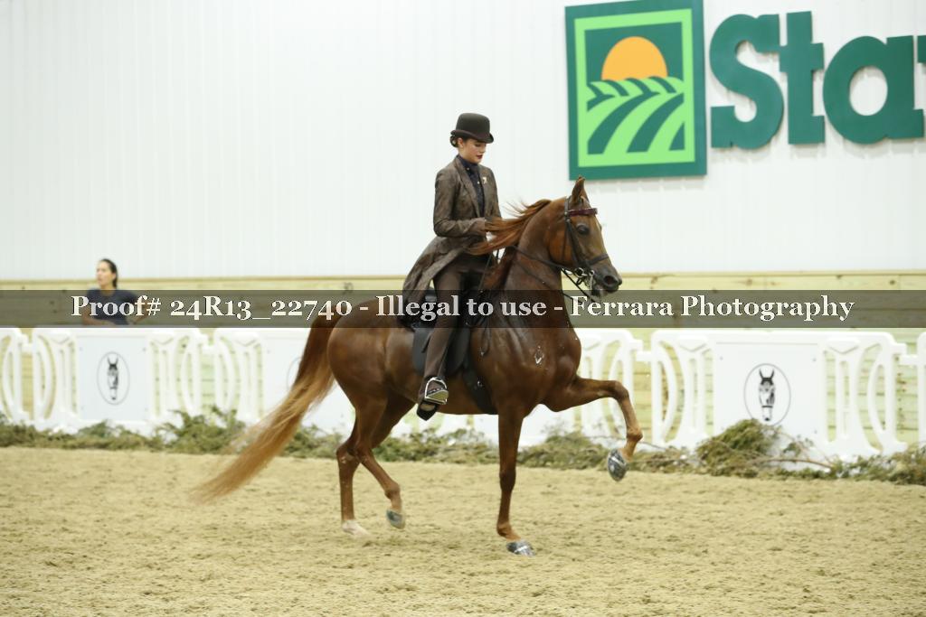 Proof 24R13_22740