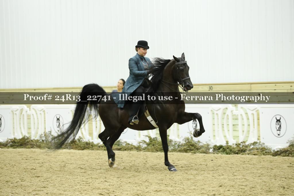 Proof 24R13_22741