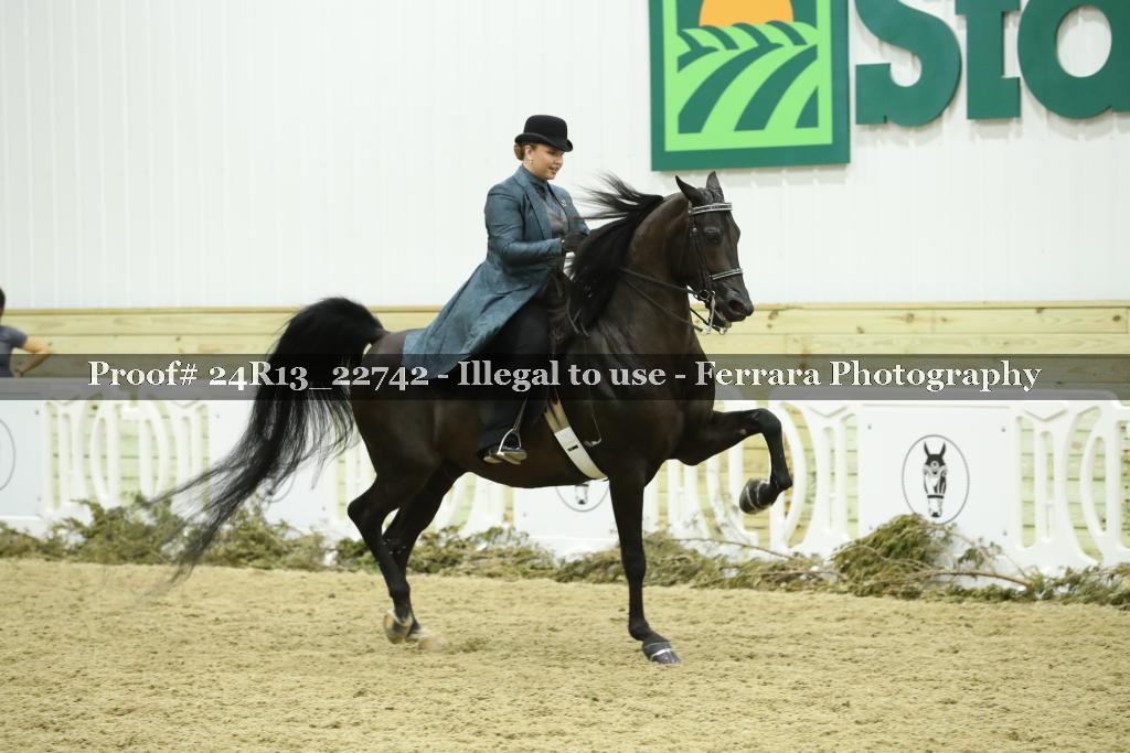 Proof 24R13_22742
