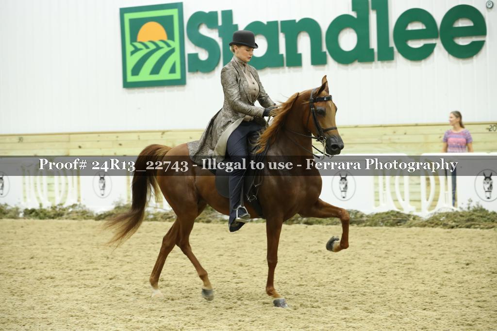 Proof 24R13_22743