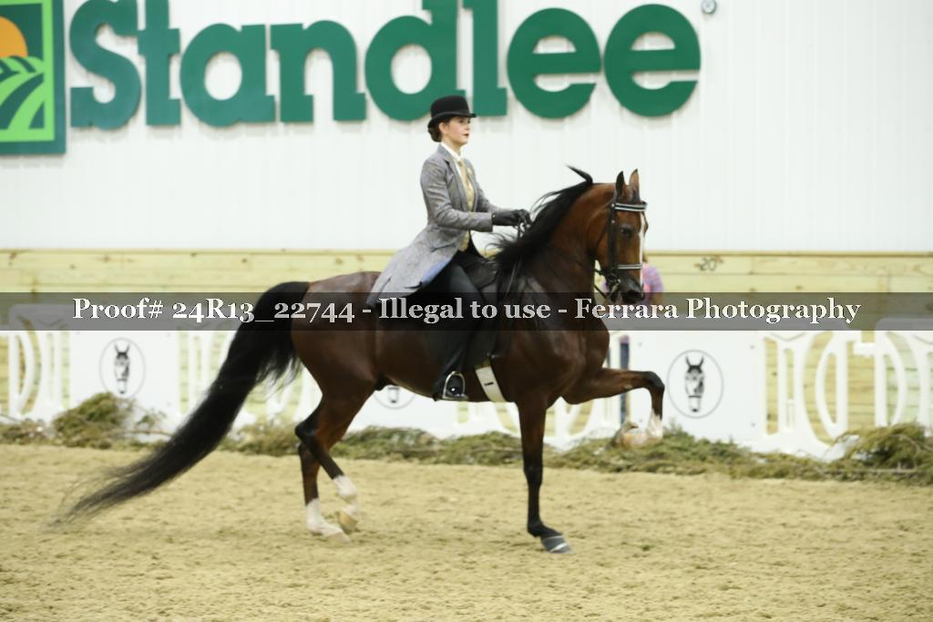 Proof 24R13_22744