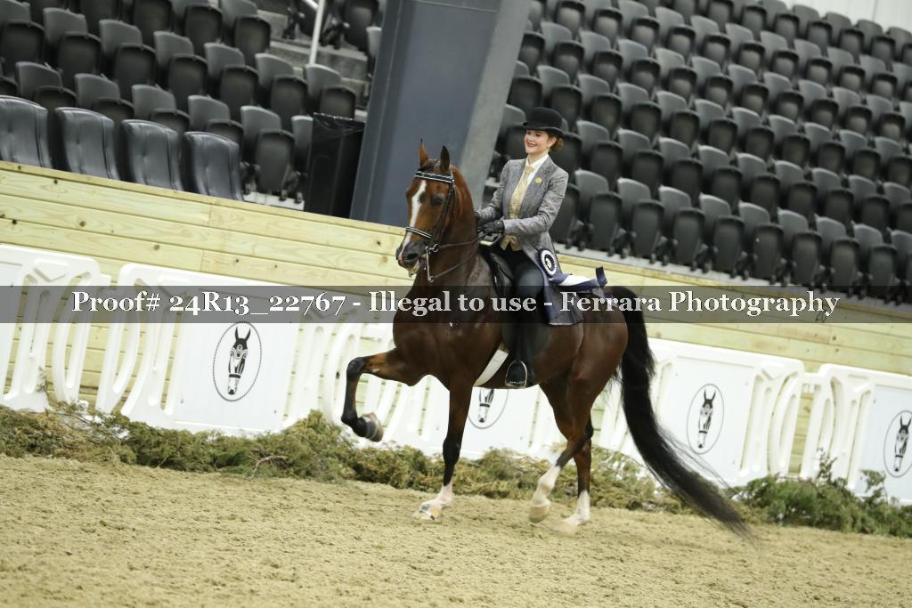 Proof 24R13_22767