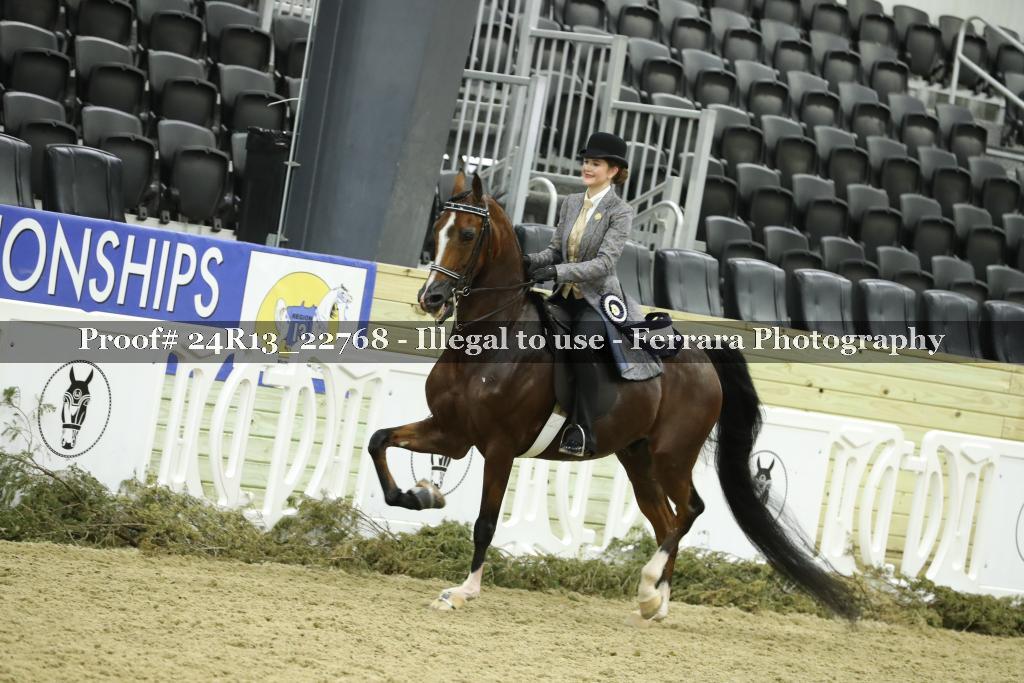 Proof 24R13_22768