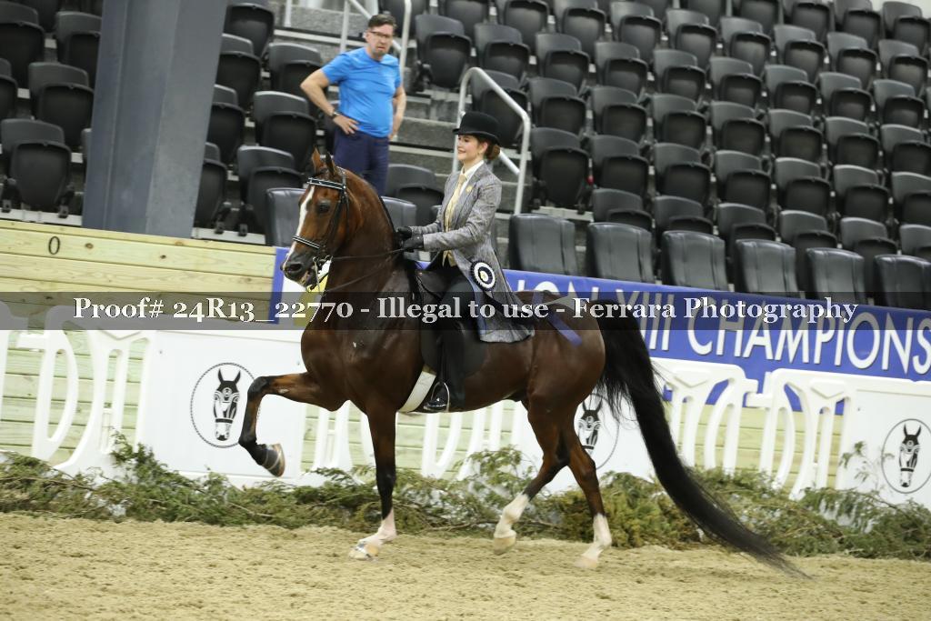 Proof 24R13_22770