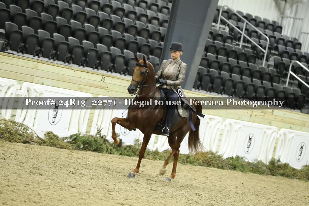 Proof 24R13_22771