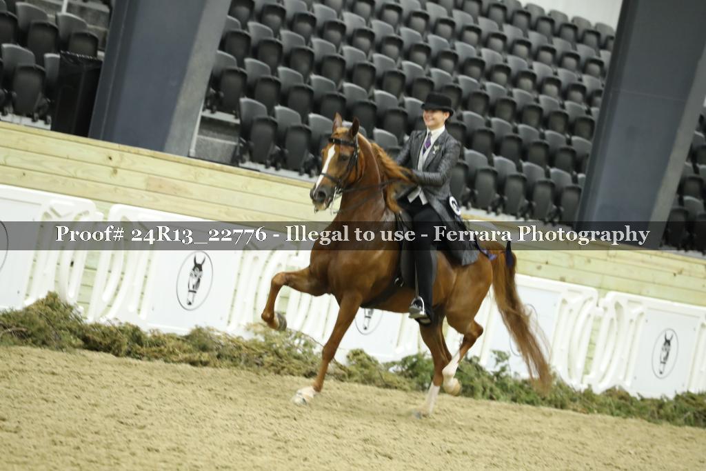 Proof 24R13_22776