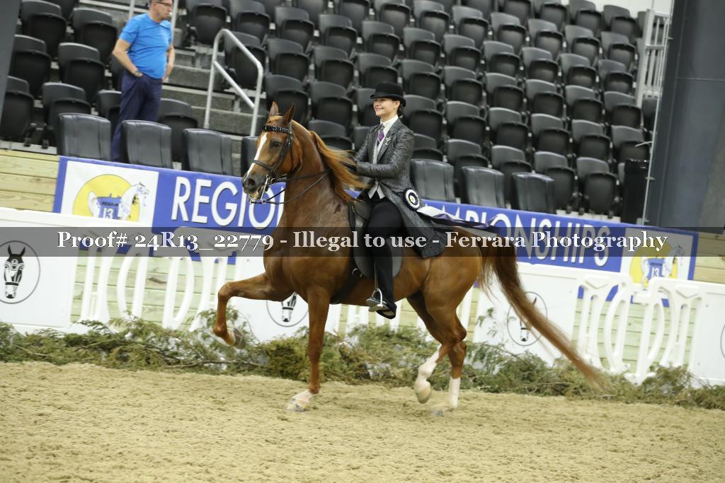 Proof 24R13_22779