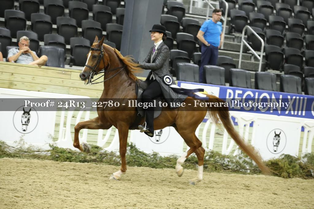 Proof 24R13_22780