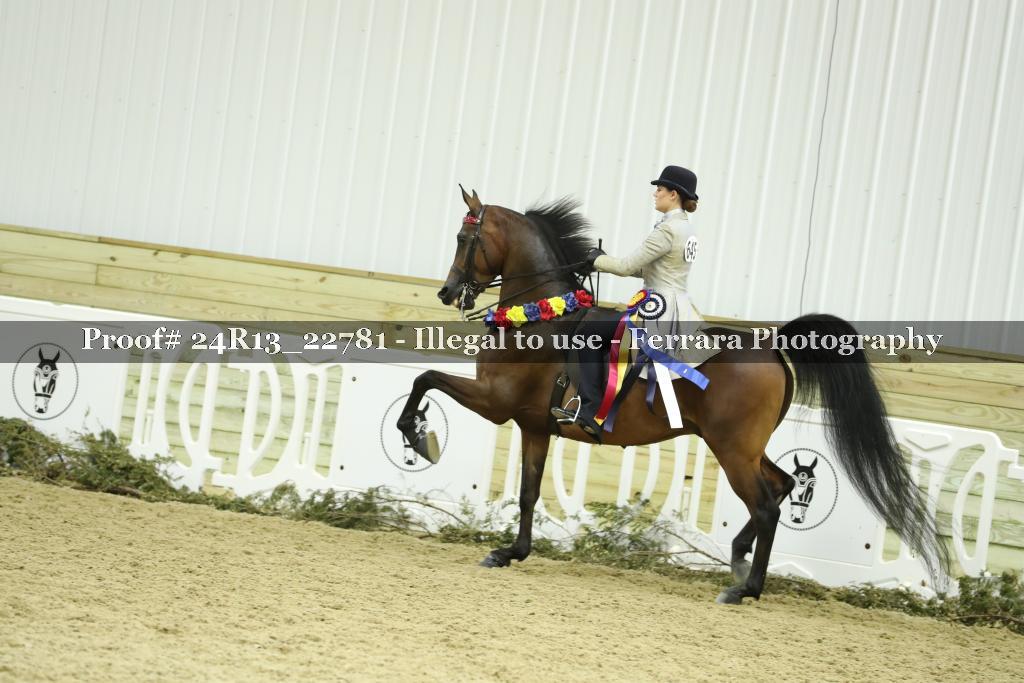 Proof 24R13_22781