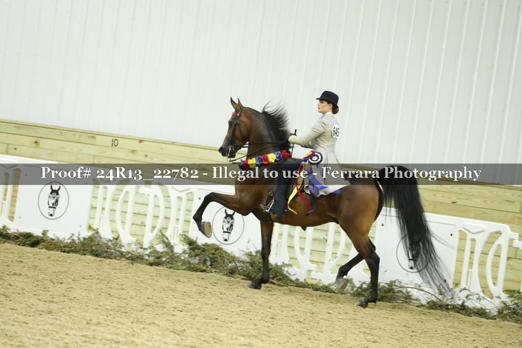 Proof 24R13_22782