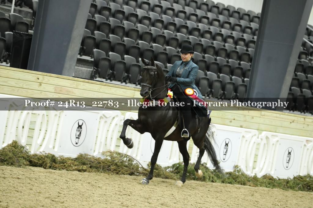 Proof 24R13_22783