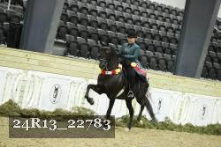 24R13_22783 proof