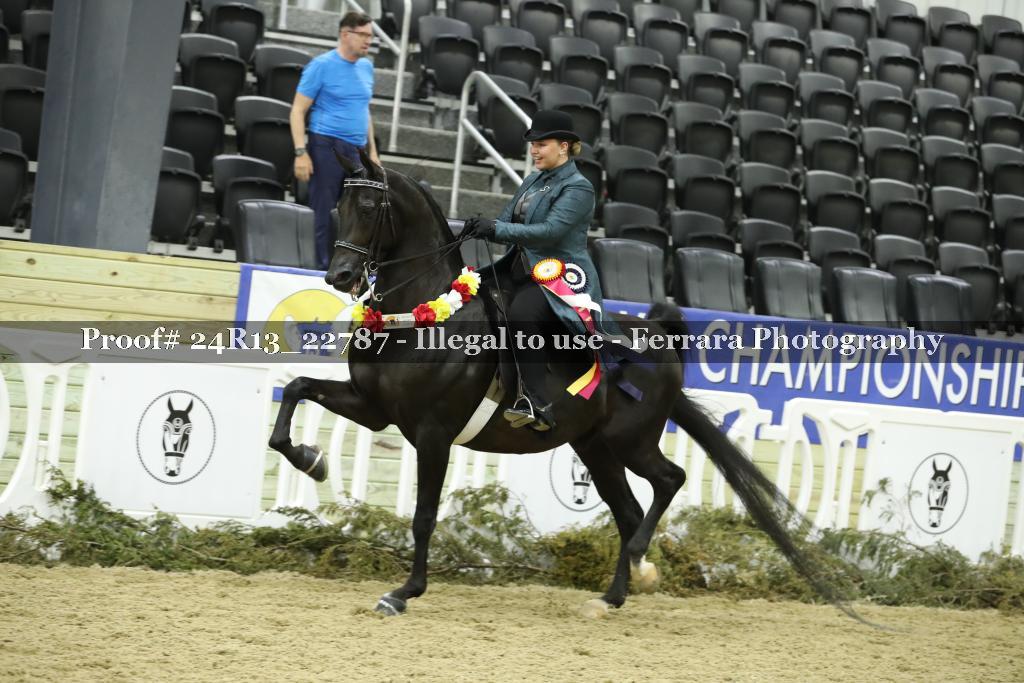 Proof 24R13_22787