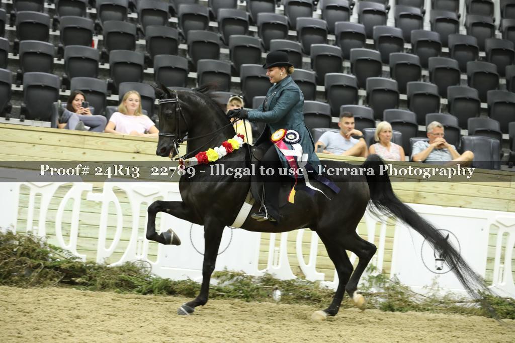 Proof 24R13_22789