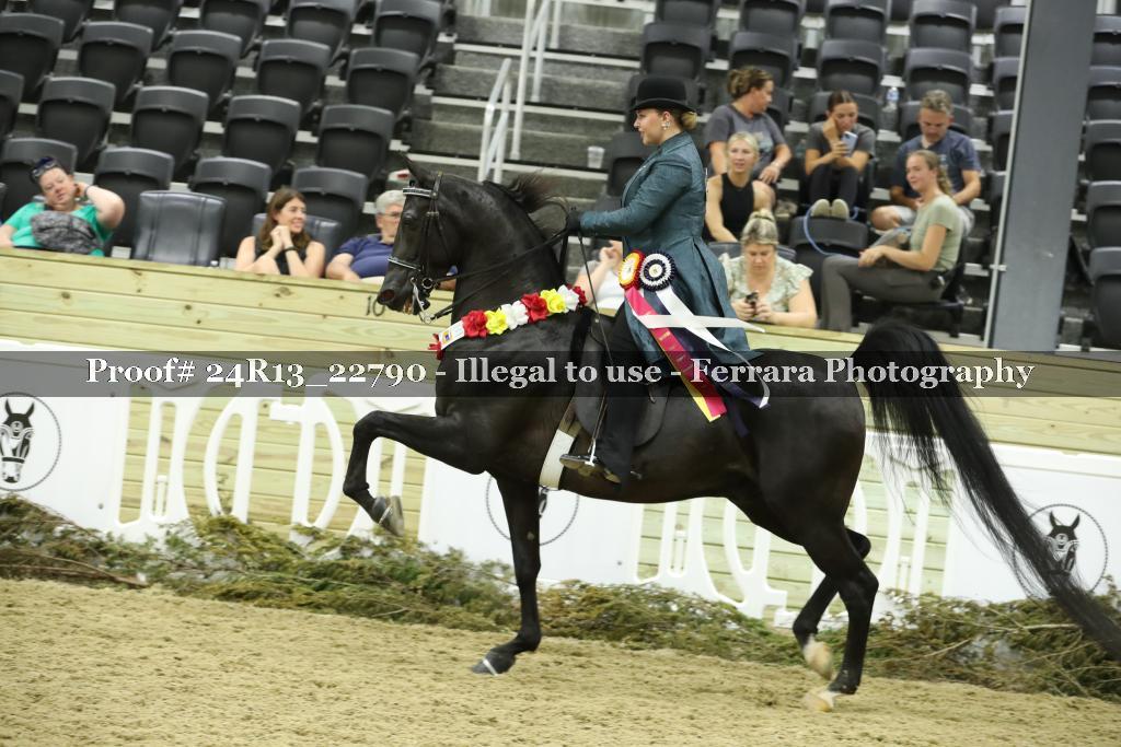 Proof 24R13_22790