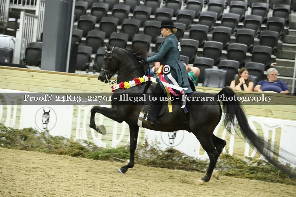 Proof 24R13_22791