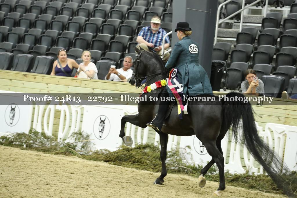 Proof 24R13_22792
