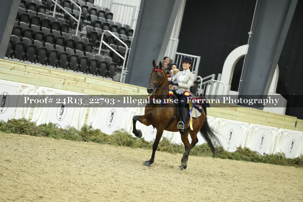 Proof 24R13_22793