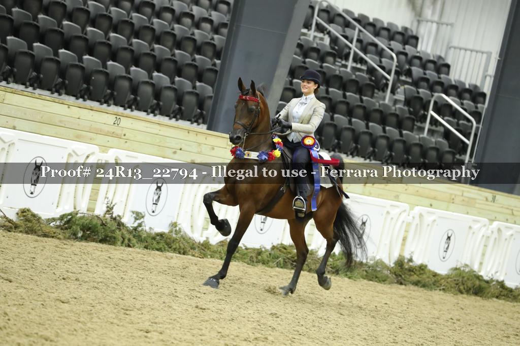 Proof 24R13_22794