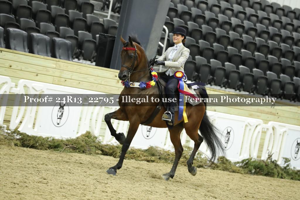 Proof 24R13_22795