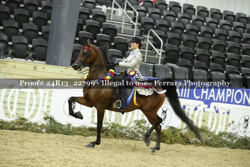 Proof 24R13_22799