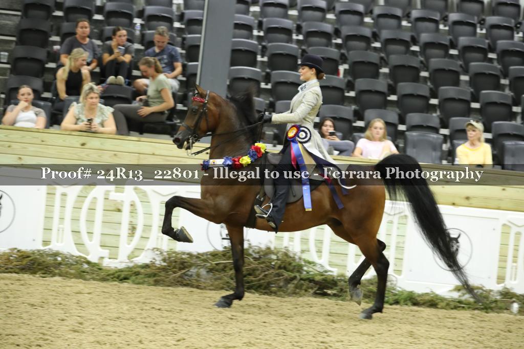 Proof 24R13_22801