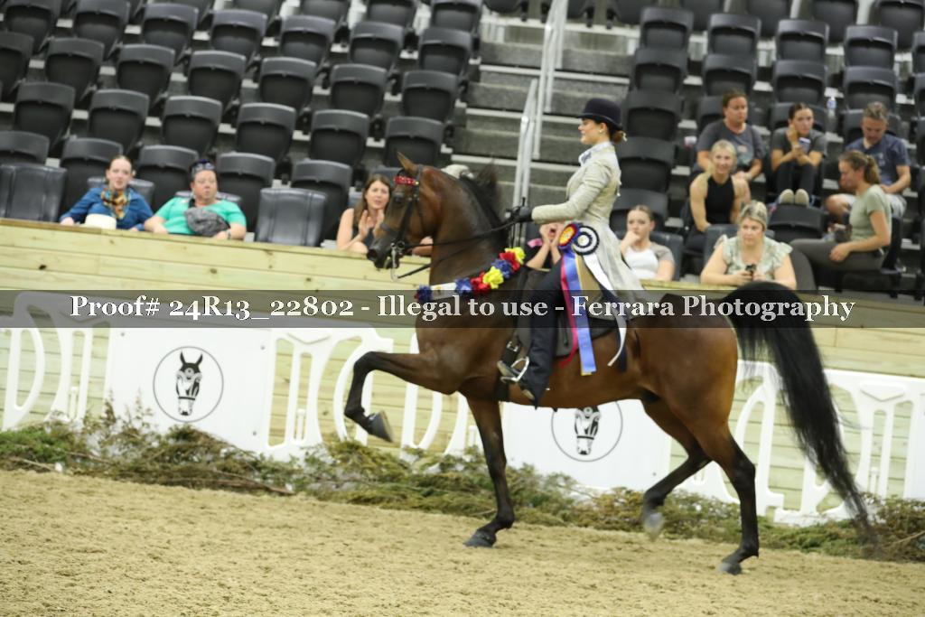 Proof 24R13_22802
